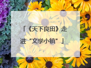 《天下良田》走进“文学小镇”