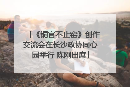 《铜官不止窑》创作交流会在长沙政协同心园举行 陈刚出席