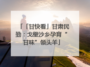 「甘快看」甘肃民勤：戈壁沙乡孕育“甘味”领头羊