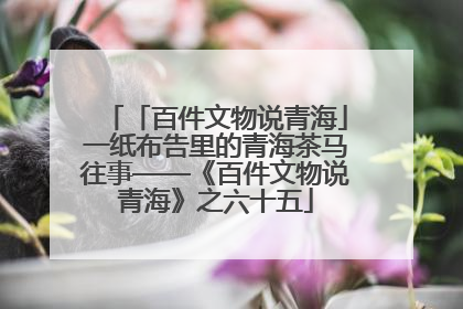 「百件文物说青海」一纸布告里的青海茶马往事——《百件文物说青海》之六十五