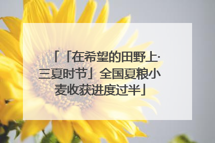 「在希望的田野上·三夏时节」全国夏粮小麦收获进度过半