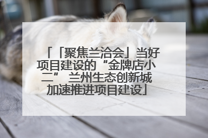 「聚焦兰洽会」当好项目建设的“金牌店小二” 兰州生态创新城加速推进项目建设