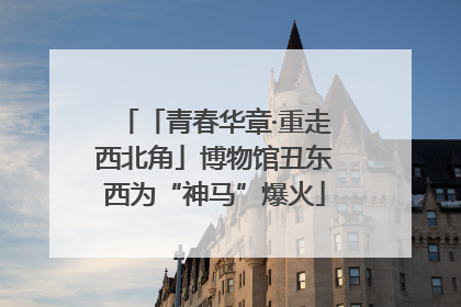 「青春华章·重走西北角」博物馆丑东西为“神马”爆火