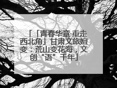「青春华章·重走西北角」甘肃文旅嬗变：荒山变花海，文创“语”千年