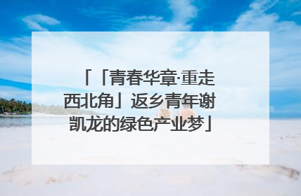 「青春华章·重走西北角」返乡青年谢凯龙的绿色产业梦