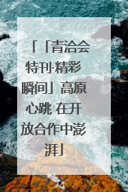 「青洽会特刊·精彩瞬间」高原心跳 在开放合作中澎湃