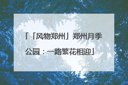 「风物郑州」郑州月季公园：一路繁花相迎