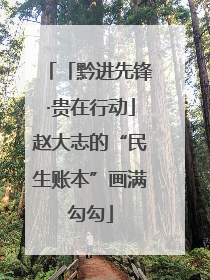 「黔进先锋·贵在行动」赵大志的“民生账本”画满勾勾