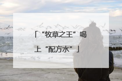 “牧草之王”喝上“配方水”