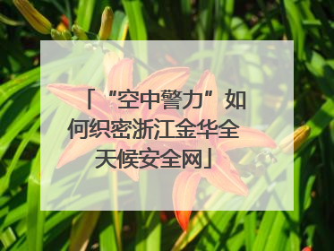 “空中警力”如何织密浙江金华全天候安全网