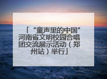 “童声里的中国”河南省文明校园合唱团交流展示活动（郑州站）举行
