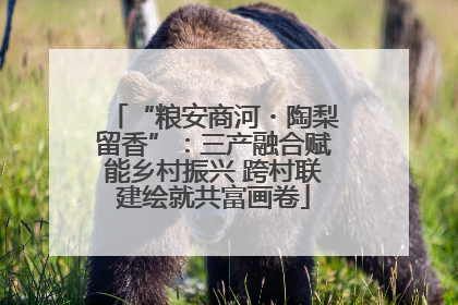 “粮安商河・陶梨留香”：三产融合赋能乡村振兴 跨村联建绘就共富画卷