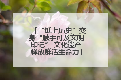 “纸上历史”变身“触手可及文明印记” 文化遗产释放鲜活生命力