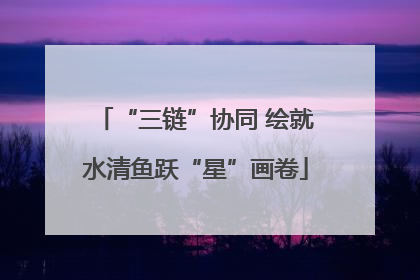 “三链”协同 绘就水清鱼跃“星”画卷