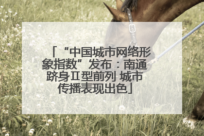 “中国城市网络形象指数”发布：南通跻身Ⅱ型前列 城市传播表现出色