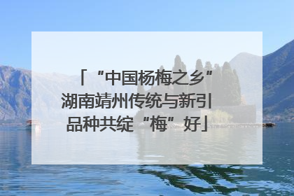 “中国杨梅之乡”湖南靖州传统与新引品种共绽“梅”好