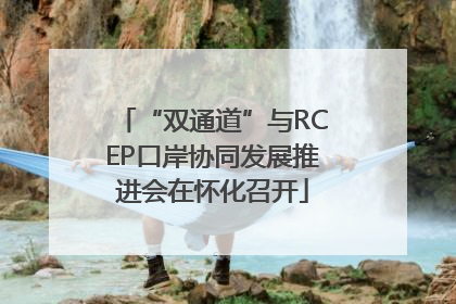 “双通道”与RCEP口岸协同发展推进会在怀化召开