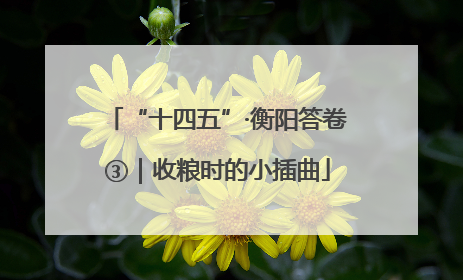 “十四五”·衡阳答卷③｜收粮时的小插曲