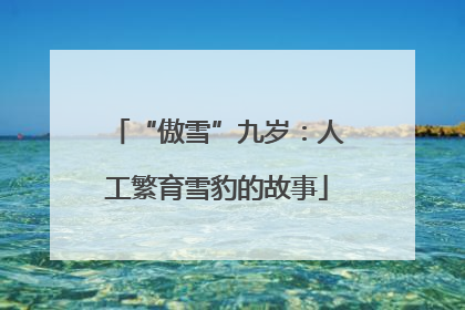 “傲雪”九岁：人工繁育雪豹的故事