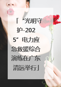 “光明守护-2025”电力应急救援综合演练在广东清远举行