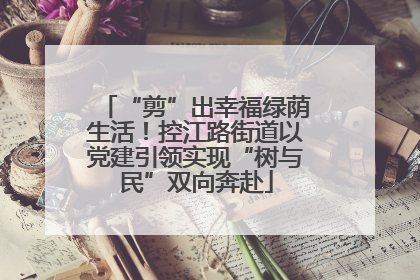 “剪”出幸福绿荫生活！控江路街道以党建引领实现“树与民”双向奔赴