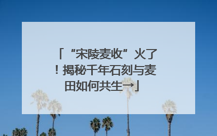 “宋陵麦收”火了！揭秘千年石刻与麦田如何共生→