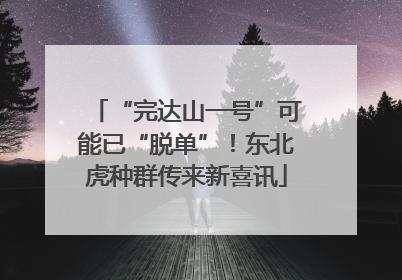 “完达山一号”可能已“脱单”！东北虎种群传来新喜讯