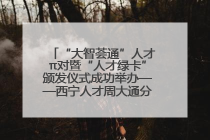 “大智荟通”人才π对暨“人才绿卡”颁发仪式成功举办——西宁人才周大通分会场亮点纷呈