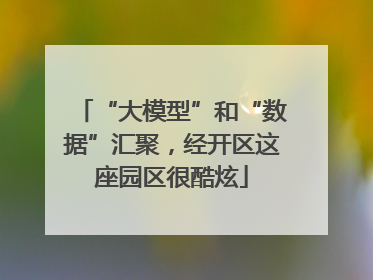“大模型”和“数据”汇聚，经开区这座园区很酷炫