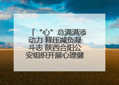 “心”意满满添动力 释压减负凝斗志 陕西合阳公安组织开展心理健康团体辅导活动