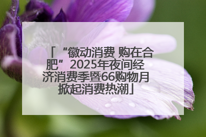 “徽动消费 购在合肥”2025年夜间经济消费季暨66购物月掀起消费热潮