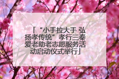 “小手拉大手 弘扬孝传统”孝行三秦爱老助老志愿服务活动启动仪式举行