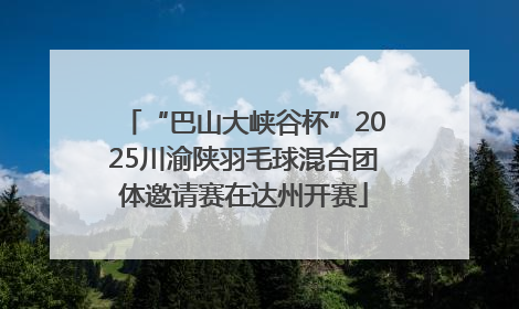 “巴山大峡谷杯”2025川渝陕羽毛球混合团体邀请赛在达州开赛