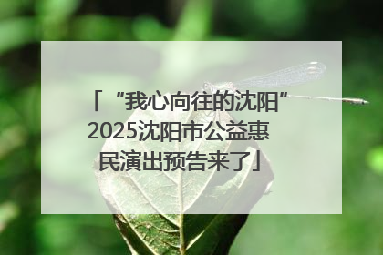 “我心向往的沈阳”2025沈阳市公益惠民演出预告来了