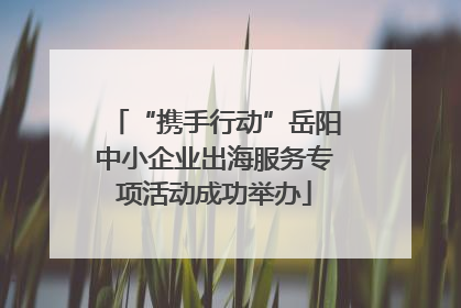 “携手行动”岳阳中小企业出海服务专项活动成功举办