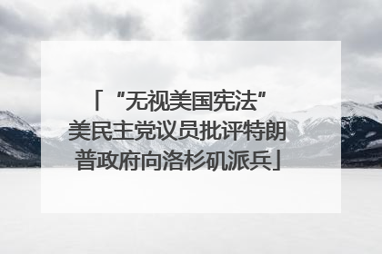 “无视美国宪法” 美民主党议员批评特朗普政府向洛杉矶派兵