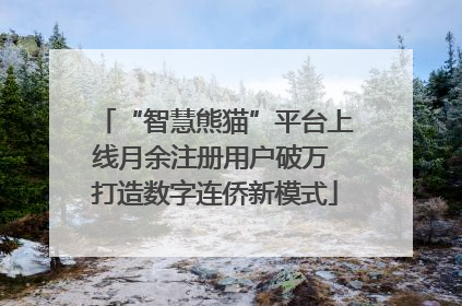 “智慧熊猫”平台上线月余注册用户破万 打造数字连侨新模式