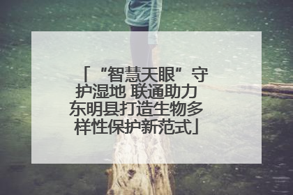 “智慧天眼”守护湿地 联通助力东明县打造生物多样性保护新范式