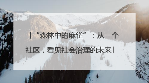 “森林中的麻雀”：从一个社区，看见社会治理的未来