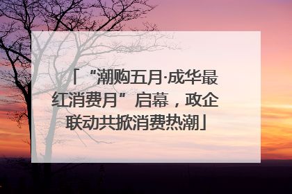 “潮购五月·成华最红消费月”启幕，政企联动共掀消费热潮