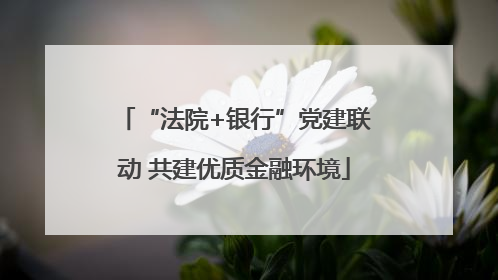 “法院+银行”党建联动 共建优质金融环境