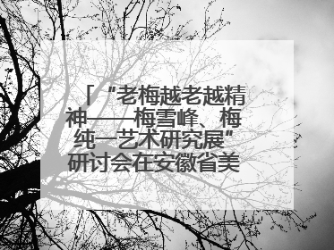 “老梅越老越精神——梅雪峰、梅纯一艺术研究展”研讨会在安徽省美术馆召开