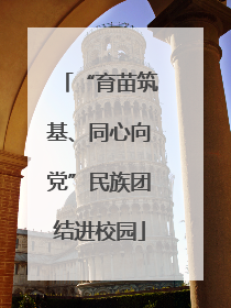 “育苗筑基、同心向党”民族团结进校园