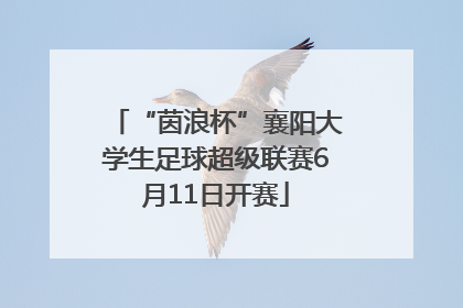 “茵浪杯”襄阳大学生足球超级联赛6月11日开赛