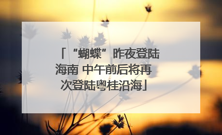 “蝴蝶”昨夜登陆海南 中午前后将再次登陆粤桂沿海