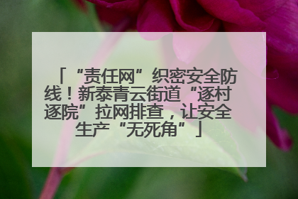 “责任网”织密安全防线！新泰青云街道“逐村逐院”拉网排查，让安全生产“无死角”