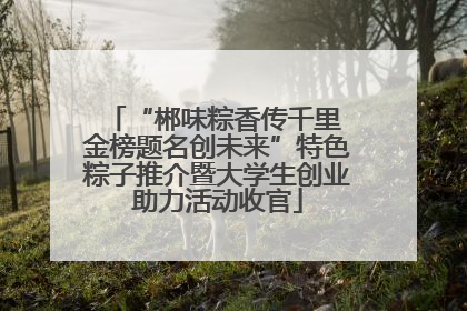 “郴味粽香传千里 金榜题名创未来”特色粽子推介暨大学生创业助力活动收官