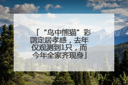 “鸟中熊猫”彩鹮定居孝感，去年仅观测到1只，而今年全家齐现身