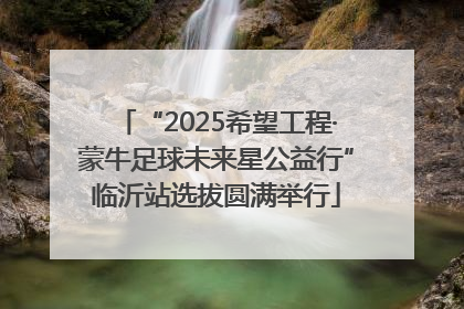 “2025希望工程·蒙牛足球未来星公益行”临沂站选拔圆满举行