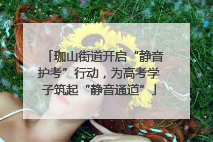 珈山街道开启“静音护考”行动，为高考学子筑起“静音通道”